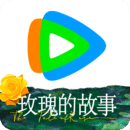 00后女明星